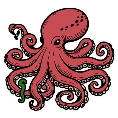 octopus