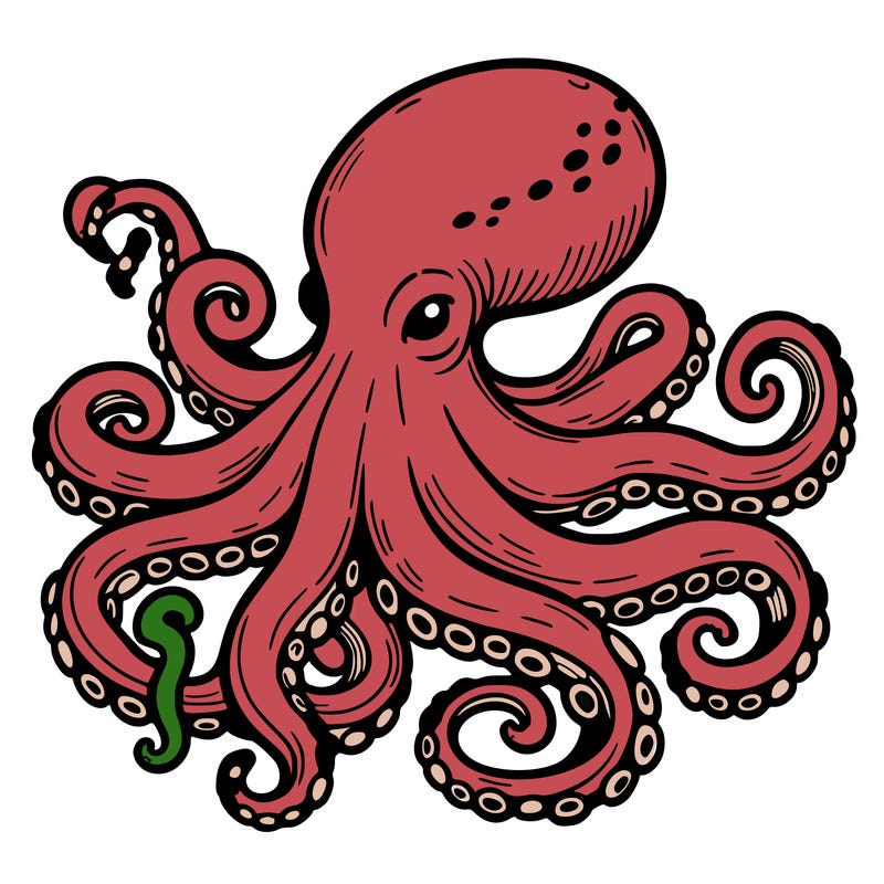 octopus