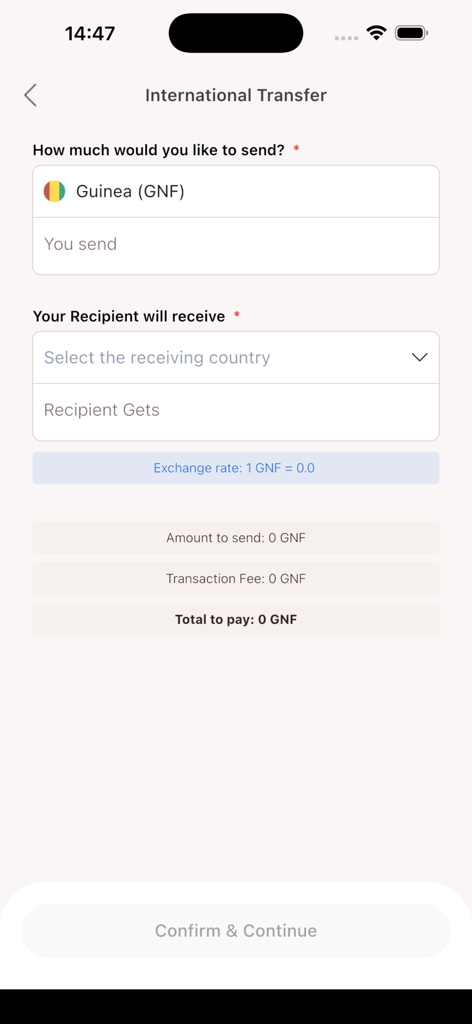 BnB POS - Pantalla de transferencia internacional de la aplicación BnB POS que muestra el cálculo de remesas para Guinea