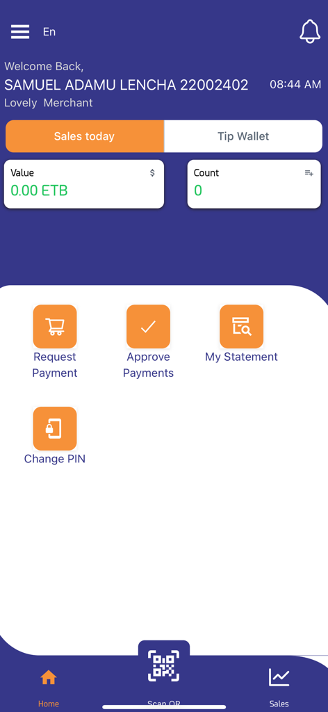 AwashBIRR Pro - Merchant dashboard of the AwashBIRR Pro app showing daily sales summary and payment management options.