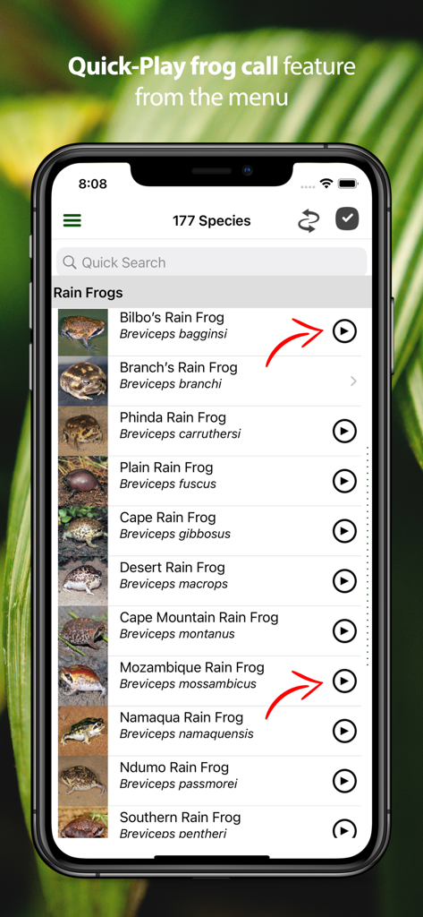 Screenshot of the Frogs of Southern Africa app displaying a list of species with the quick play frog call feature.
