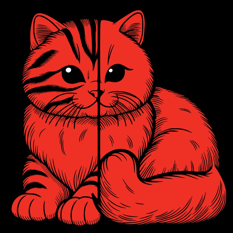 realistic split cat