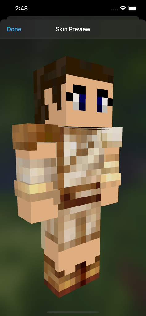 Eine 3D-Vorschau eines benutzerdefinierten Charakter-Skins im Minecraft-Skin-Editor