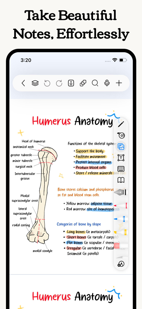 Freenotes: AI Notes Taking - Aesthetic handwritten medical anatomy notes of a humerus bone with colorful highlights and diagrams