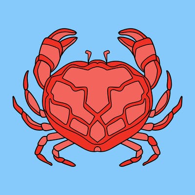 animals_16