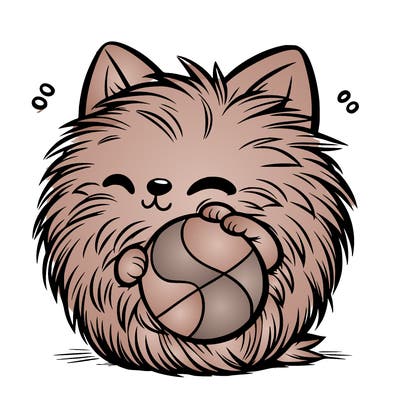 fur ball