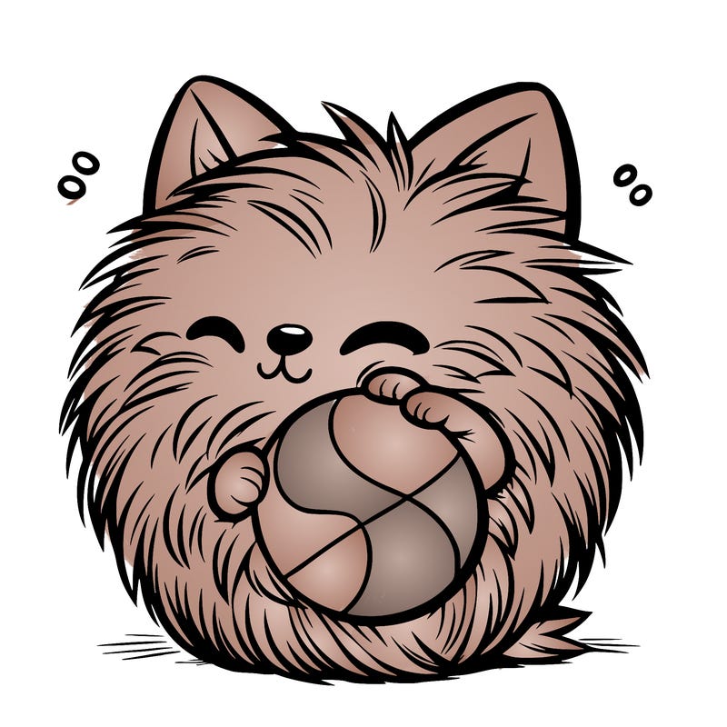 fur ball