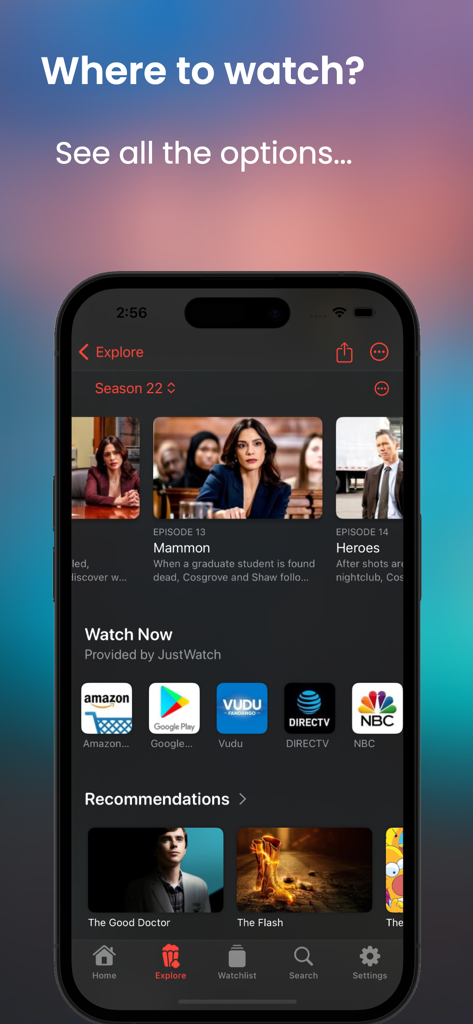 iPhone画面。ストリーミング中のアプリで、さまざまなストリーミングプラットフォームでテレビ番組を視聴できる場所を示しています。