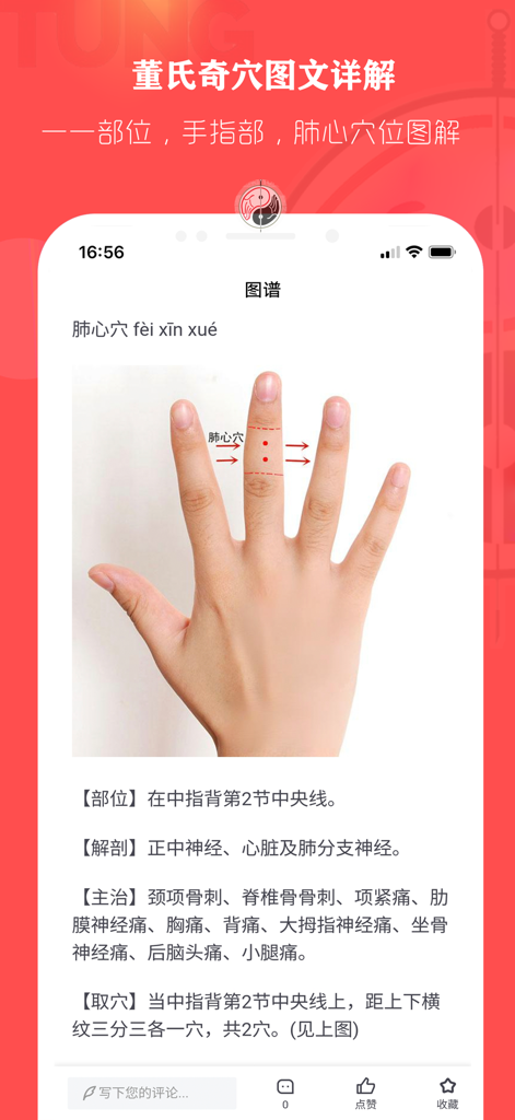 董氏奇穴针灸学 - Anatomical diagram of Lung Heart acupuncture points on the middle finger from the Master Tung's Extra Points app.