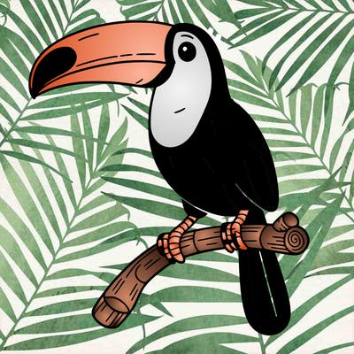 toucan on a branch