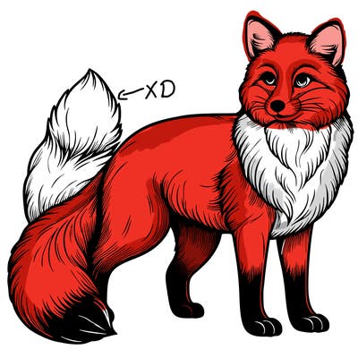 realistic fox