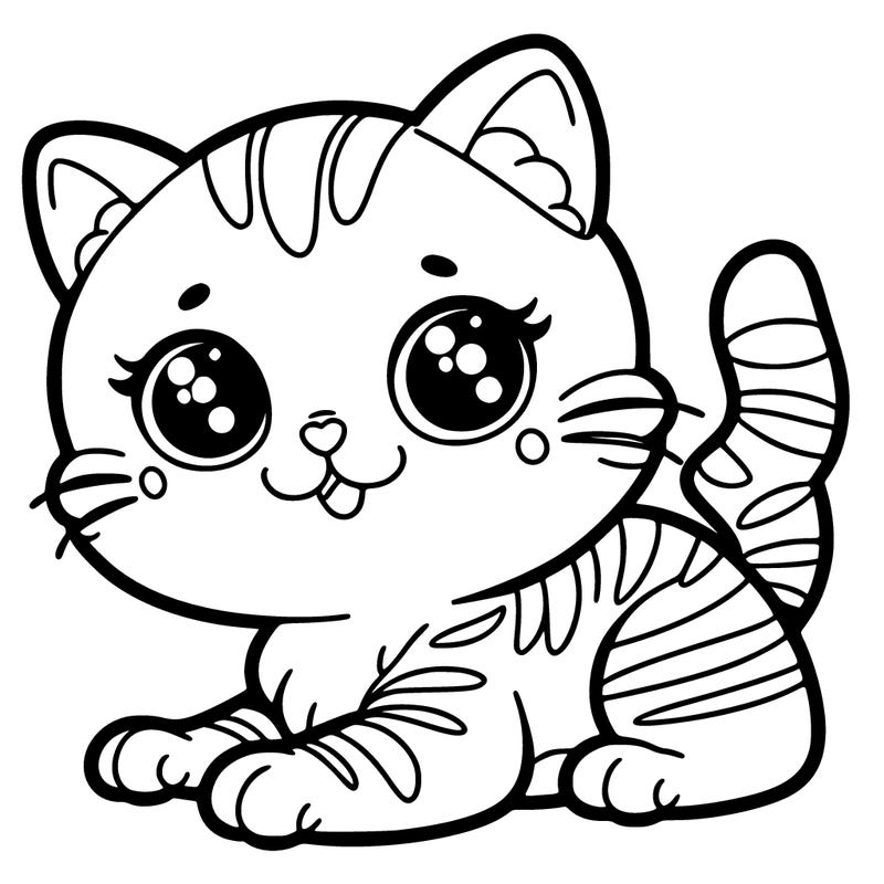 a beautiful cat picture