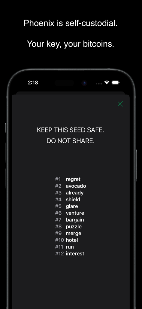 Phoenix Wallet - Phoenix Wallet recovery seed phrase screen for self-custody of bitcoin
