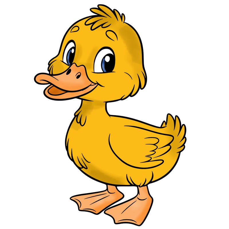 duck