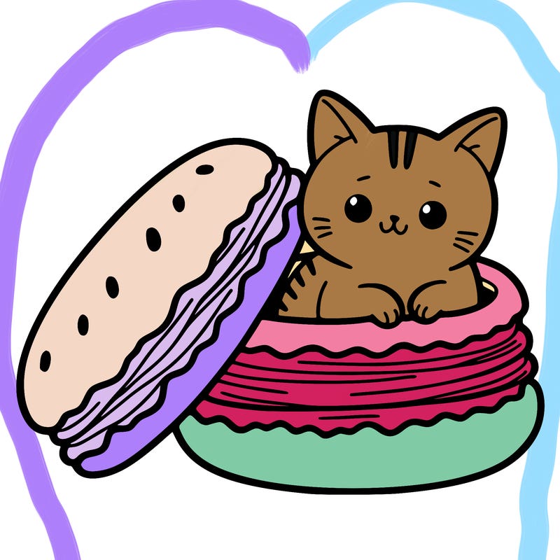 cat in a macaron