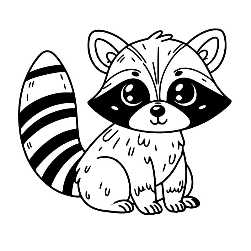raccoon