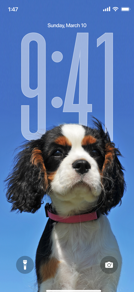 Wallpapers 4K HD Live Themes - iPhone lock screen featuring a cute Cavalier King Charles Spaniel puppy wallpaper