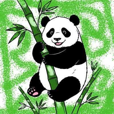 🐼