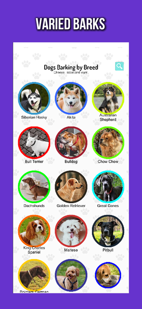 Un'interfaccia di app mobile che mostra una griglia di ritratti circolari di razze canine tra cui Siberian Husky, Akita e Bull Terrier.