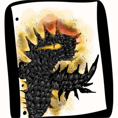 blank white page with nothing drawn on it