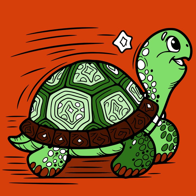 tortoise