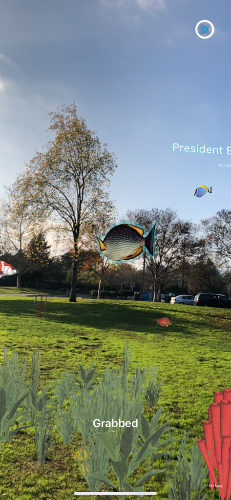 Magic Fish AR - A digital fish being moved in augmented reality over a real world park background with virtual coral and plants
