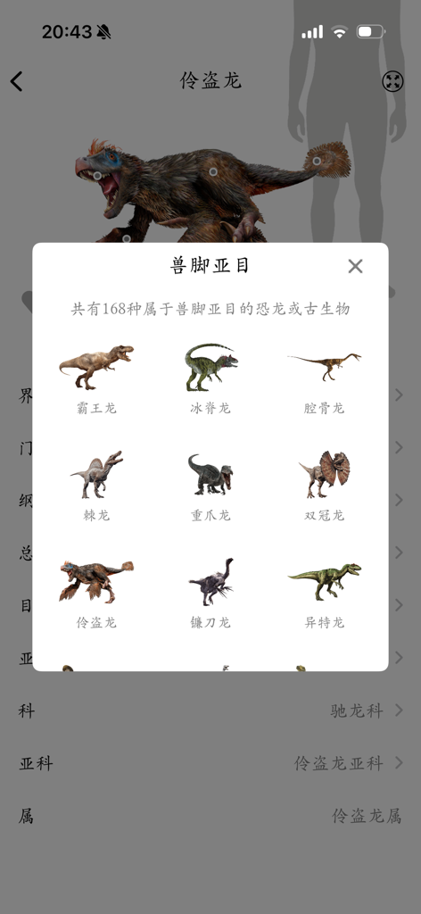 Dinopedia -kids' dinosaur park - A mobile interface from the Dinopedia app showing a scientific classification popup for Theropoda dinosaurs with small illustrated icons for species like T-Rex and Spinosaurus.