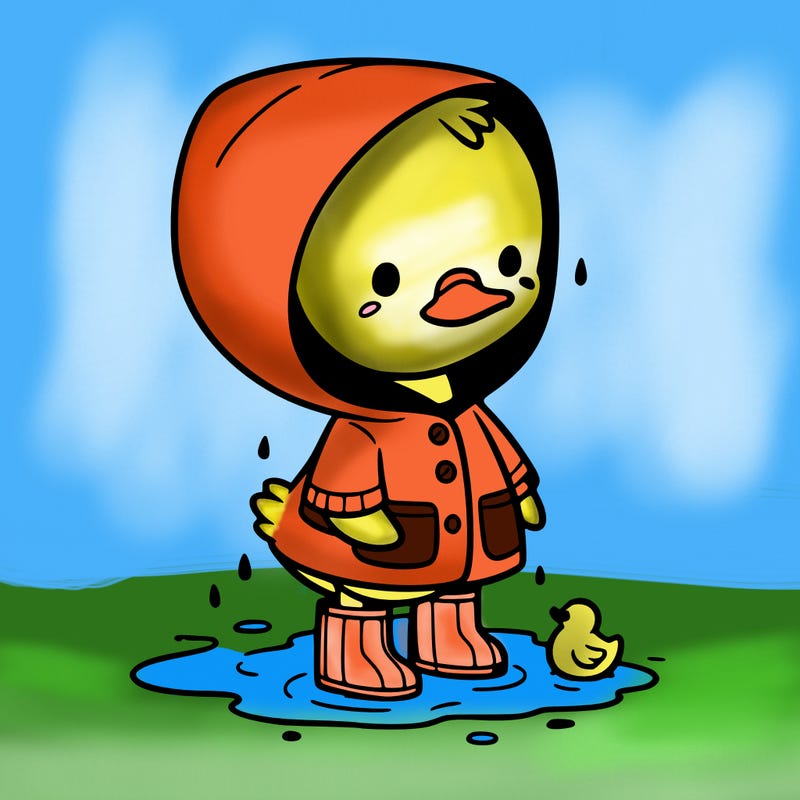 baby duck in a rain coat and boots, in a puddle while it’s raining