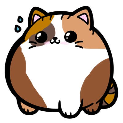 fat kwai cat