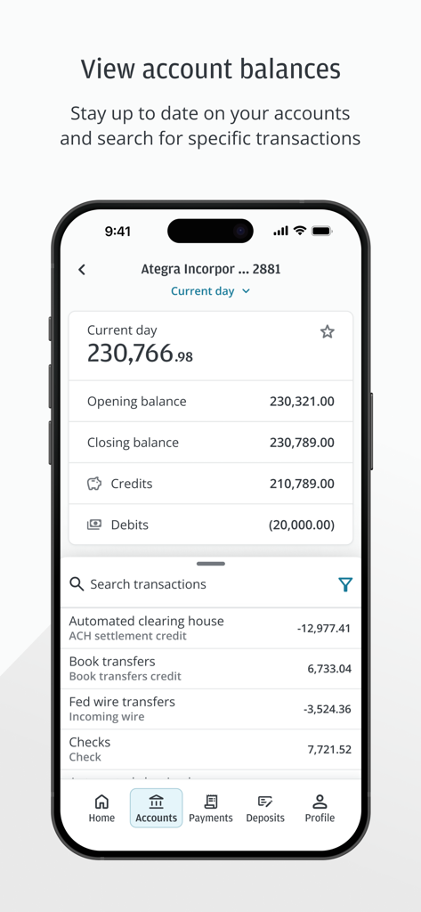 J.P. Morgan Access - J.P. Morgan Access app screen displaying corporate account balances and transaction history on a smartphone