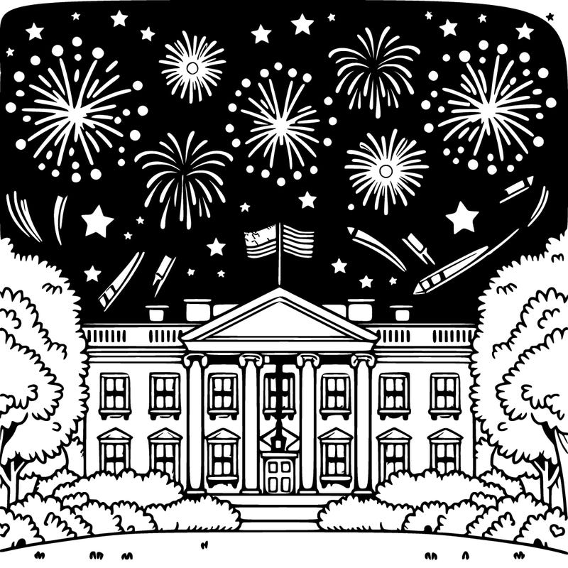 the white house with fireworks in the sky