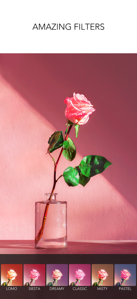 Interfaccia dell'editor di foto dell'app Rookie Cam che mostra opzioni di filtri estetici applicate a una rosa rosa