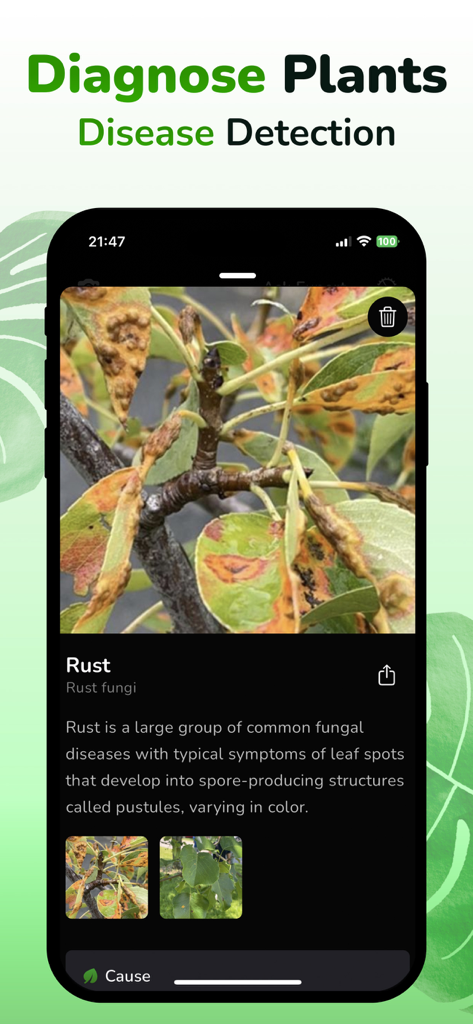 Plant ID & Disease Identifier - Smartphone app screen showing disease detection for rust fungi on plant leaves