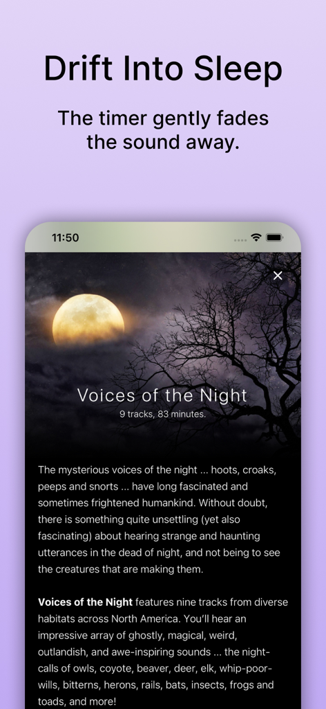 Pantalla de la aplicación Pure Nature mostrando el paisaje sonoro "Voces de la Noche" con una descripción del temporizador de sueño.