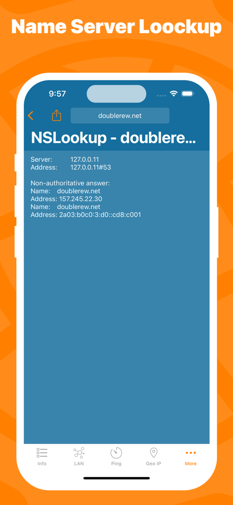 NSLookup tool interface in the Network Utility app displaying DNS records