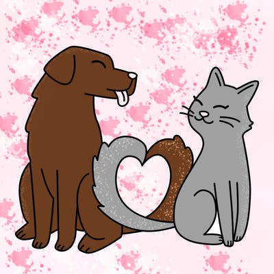 animals_22