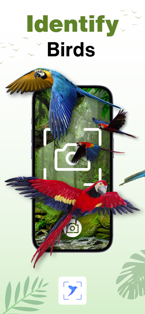 Bird Identifier AI Scanner - Bird Identifier AI app interface showing a camera scanner and colorful parrots with the text Identify Birds