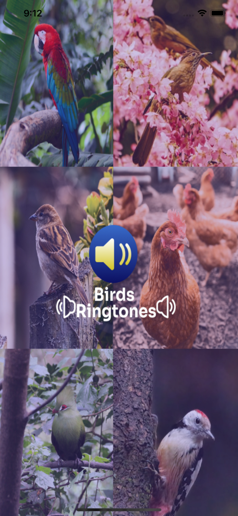 Birds Ringtones - A collage of diverse birds featuring a parrot, woodpecker, and chickens for the Birds Ringtones app