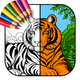 Coloring Book: Paint & Art