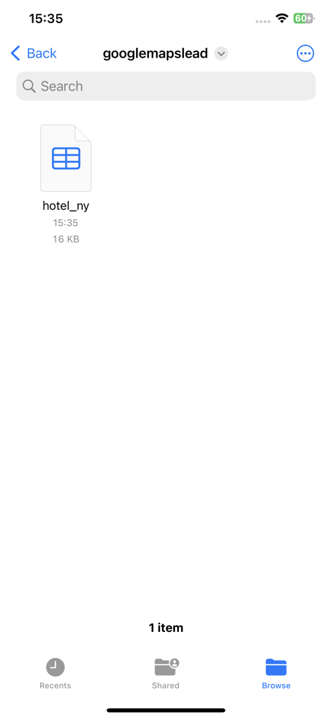 Mobile app screen displaying a saved spreadsheet file named hotel_ny containing extracted leads.