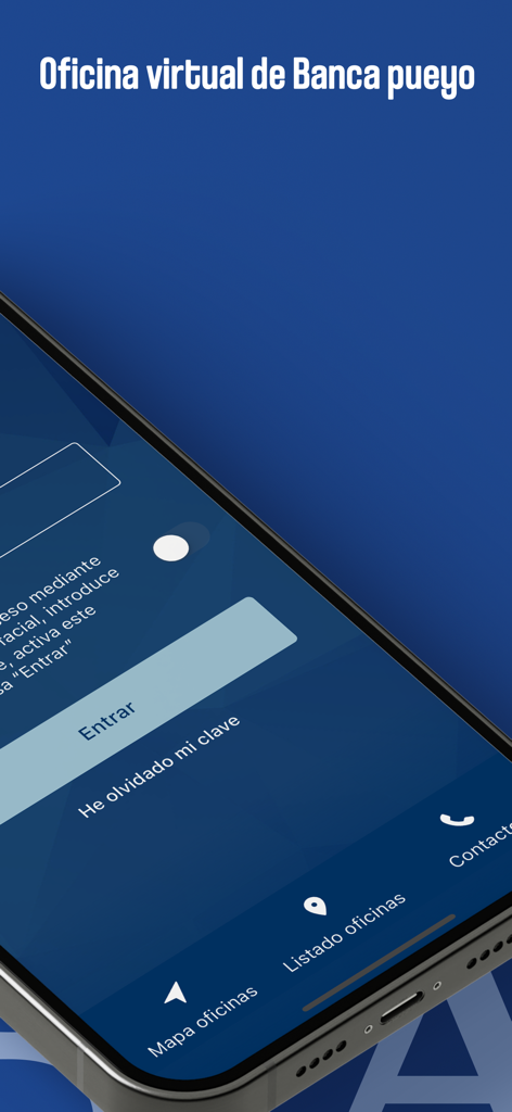 e-pueyo - Pantalla de inicio de sesión de la aplicación de banca móvil e-pueyo