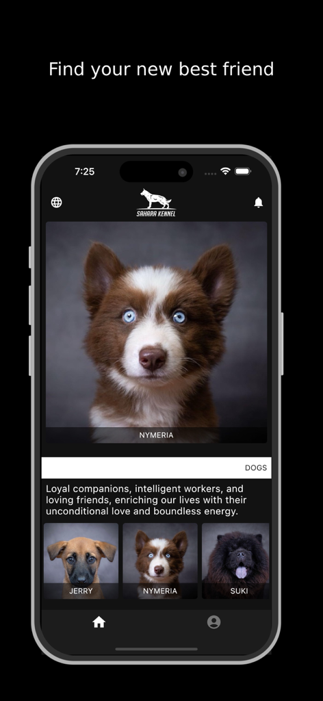 Sahara Kennel - Sahara Kennel mobile app showing adoptable dog profiles with a find your new best friend heading