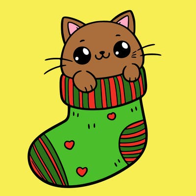 cute cat in a sock