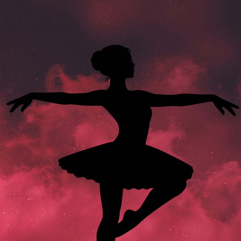 a delicate ballerina in motion.