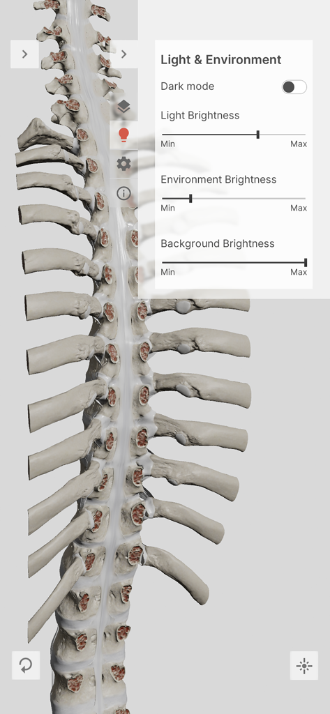 3D human spine model with light and environment adjustment settings