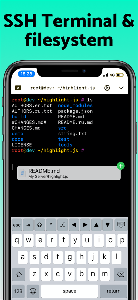 iPhone screen displaying the Secure ShellFish SSH terminal interface with a remote file list and custom developer keyboard.