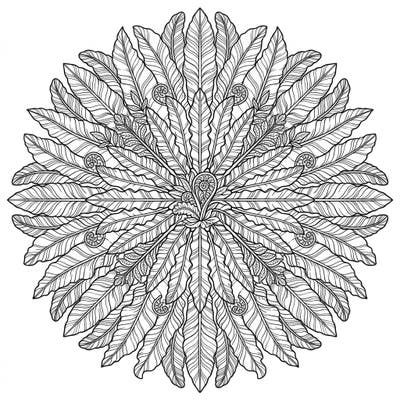 Unwind with this exquisite Bird's Nest Fern Mandala coloring page, featuring a symmetrical design of lush fern fronds. It's a perfect blend of natural beauty and calming geometric artistry, ready for your creative touch.