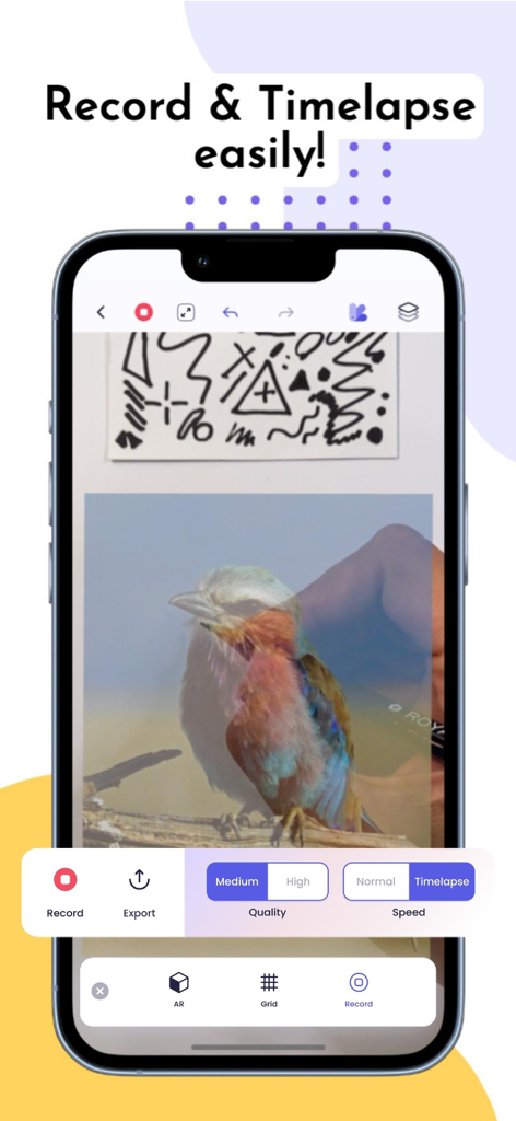 AR Tracing Projector: ArtSync - ArtSync mobile app interface showing AR tracing of a bird with recording and timelapse options