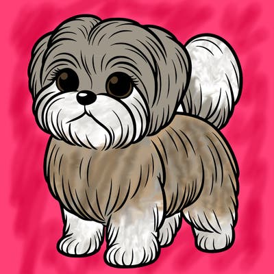 small shih tzu