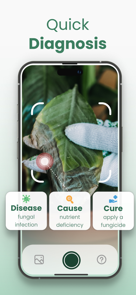 Plantify: AI Plant Identifier - Pantalla de smartphone mostrando la aplicación Plantify identificando una enfermedad de planta y sugiriendo una cura